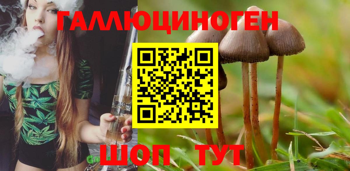 Галлюциногенные грибы MAGIC MUSHROOMS  Вход с VPN  Нефтекамск 